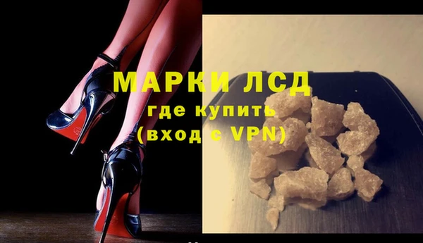 хмурый Абаза