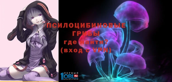дурь Алексин