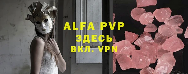 хмурый Абаза