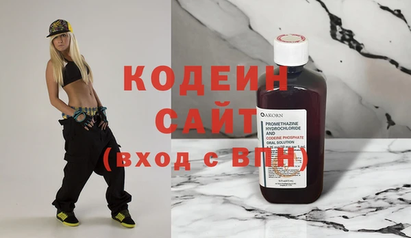 хмурый Абаза