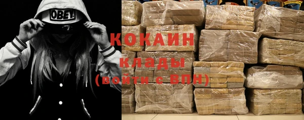 хмурый Абаза