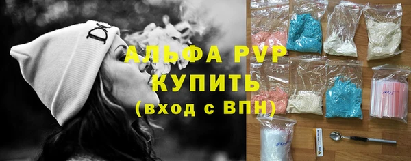 хмурый Абаза
