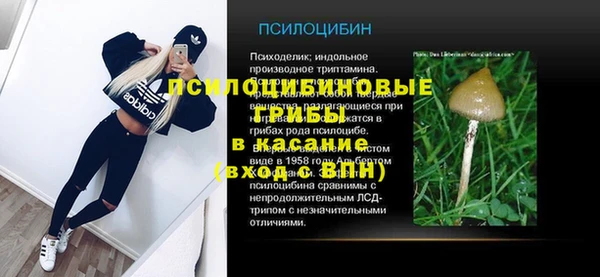 СК Алзамай