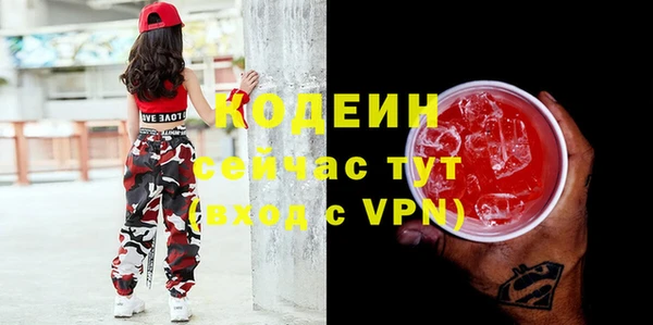 хмурый Абаза
