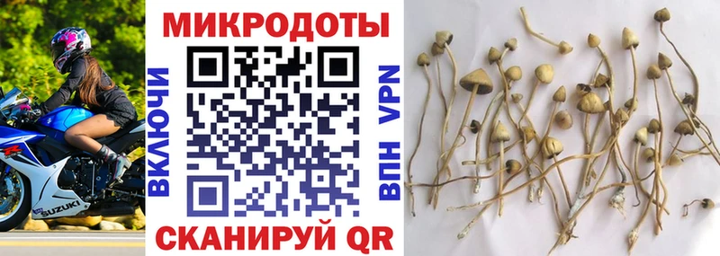 Псилоцибиновые грибы Magic Shrooms  KRAKEN ONION  Калач 